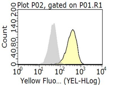 抗-PD-L1抗体，克隆29E.2A3.C6，无叠氮化物 clone 29E.2A3.C6, from mouse