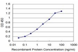 Monoclonal Anti-NALP12, (N-terminal) antibody produced in mouse clone 4B9, purified immunoglobulin, buffered aqueous solution