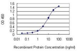 Monoclonal Anti-ARHGEF10 antibody produced in mouse clone 6G5, purified immunoglobulin, buffered aqueous solution
