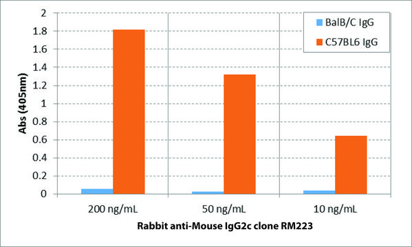 Anti-Mouse IgG2c-Biotin antibody, Rabbit monoclonal recombinant, expressed in HEK 293 cells, clone RM223, purified immunoglobulin