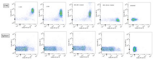 Anti-CD39 Antibody, clone 5E12 clone 5E12, 1&#160;mg/mL, from rat