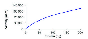 GLK, active, GST tagged human PRECISIO®, recombinant, expressed in baculovirus infected Sf9 cells, ≥70% (SDS-PAGE), buffered aqueous glycerol solution