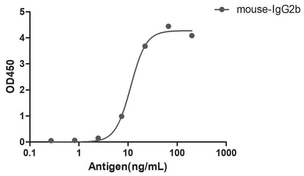 Goat Anti-Mouse IgG2b(Fc&#947;) HRP Alpaca Heavy chain only Antibody recombinant Alpaca(VHH) Nano antibody