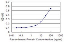 Monoclonal Anti-GLS antibody produced in mouse clone 5C4, purified immunoglobulin, buffered aqueous solution