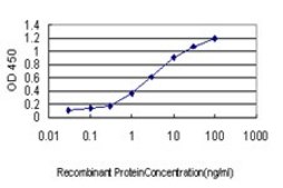 ANTI-ICOSLG antibody produced in mouse clone 4D12, purified immunoglobulin, buffered aqueous solution