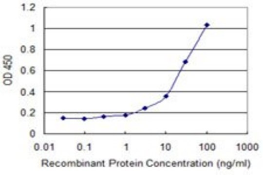 Monoclonal Anti-CYB5R3 antibody produced in mouse clone 2A9, purified immunoglobulin, buffered aqueous solution