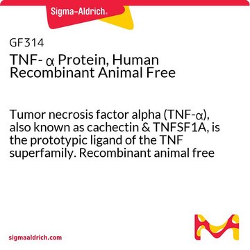 TNF- &#945; Protein, Human Recombinant Animal Free Tumor necrosis factor alpha (TNF-&#945;), also known as cachectin &amp; TNFSF1A, is the prototypic ligand of the TNF superfamily. Recombinant animal free human TNF-&#945; is manufactured using all non-animal reagents.