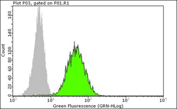 Anti-trimethyl (Lys9)-phospho (Ser10)-Histone H3 Antibody, rabbit monoclonal Upstate&#174;, from rabbit