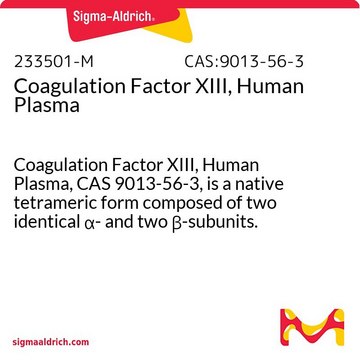 Coagulation Factor XIII, Human Plasma Coagulation Factor XIII, Human Plasma, CAS 9013-56-3, is a native tetrameric form composed of two identical &#945;- and two &#946;-subunits. Thrombin converts the &#945;2&#946;2 tetramer to a modified &#945;2&#697;&#946;2 tetramer.