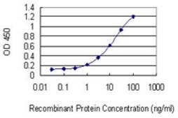 Monoclonal Anti-NPTX1 antibody produced in mouse clone 7E6, purified immunoglobulin, buffered aqueous solution