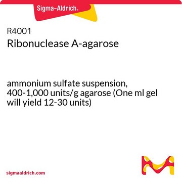 Ribonuclease A-agarose ammonium sulfate suspension, 400-1,000&#160;units/g agarose (One ml gel will yield 12-30 units)