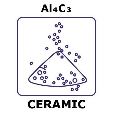 碳化铝 powder, 45 max. part. size (micron), weight 50&#160;g, purity 98.%