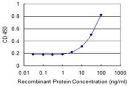 Monoclonal Anti-RAB7L1 antibody produced in mouse clone 1B10, purified immunoglobulin, buffered aqueous solution