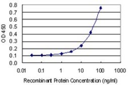 Monoclonal Anti-TIAF1 antibody produced in mouse clone 3B9, purified immunoglobulin
