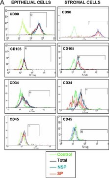 Anti-Thy-1 Antibody, clone F15-42-1, Phycoerythrin conjugated clone F15-42-1, Chemicon&#174;, from mouse