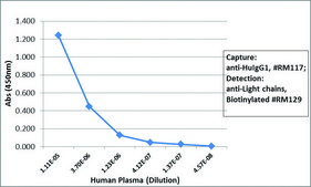 Anti-Human IgG1 antibody, Rabbit monoclonal recombinant, expressed in HEK 293 cells, clone RM117, purified immunoglobulin