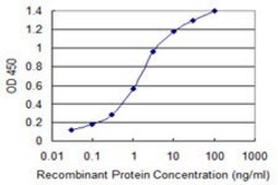 Monoclonal Anti-LASS4 antibody produced in mouse clone 2G6, purified immunoglobulin, buffered aqueous solution