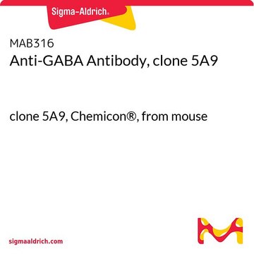 抗GABA抗体，克隆5A9 clone 5A9, Chemicon&#174;, from mouse