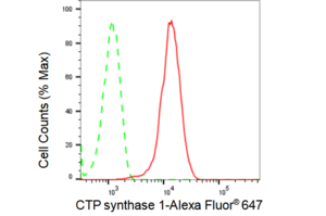 KD-Validated Anti CTP synthase 1 Antibody, clone 23GB1685, Rabbit Monoclonal clone 23GB1685, recombinant rabbit monoclonal, expressed in HEK293 cells
