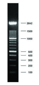 DNA Molecular Weight Marker XIV (100 bp ladder) solution, pkg of 50&#160;&#956;g (in 200 &#956;l)