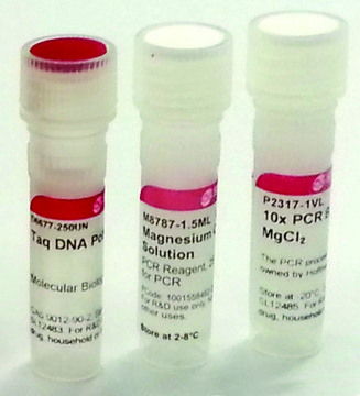 Taq DNA聚合酶 来源于水生栖热菌 with 10× PCR reaction buffer without MgCl2