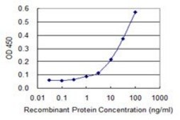 Monoclonal Anti-ABHD5 antibody produced in mouse clone 4B12, purified immunoglobulin, buffered aqueous solution