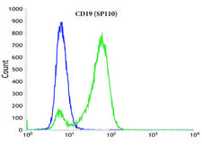 Anti-CD19 antibody, Rabbit monoclonal clone SP110, recombinant, expressed in proprietary host, affinity isolated antibody