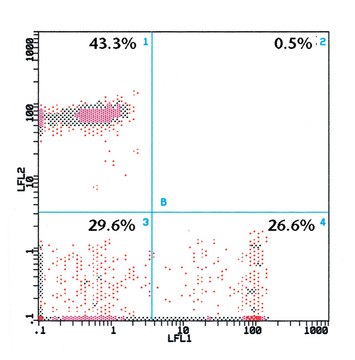 Monoclonal Anti-CD8&#8722;FITC antibody produced in mouse clone UCHT-4, purified immunoglobulin, buffered aqueous solution