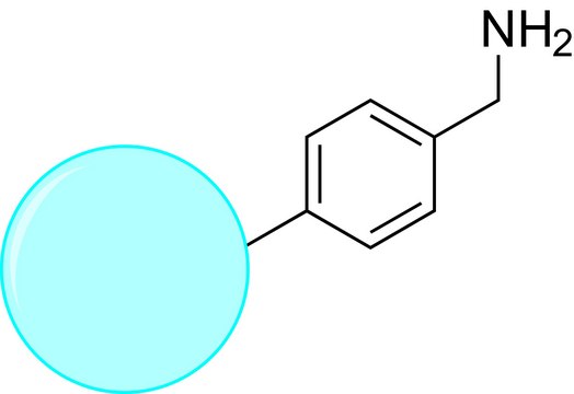 TurboBeads&#8482; Amine extent of labeling: &#8805;0.1&#160;mmol/g loading (-Ph-CH2-NH2)