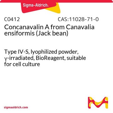 伴刀豆球蛋白A 来源于洋刀豆 （刀豆） Type IV-S, lyophilized powder, &#947;-irradiated, BioReagent, suitable for cell culture