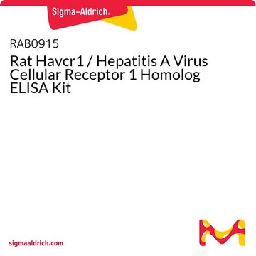 Rat Havcr1 / Hepatitis A Virus Cellular Receptor 1 Homolog ELISA Kit