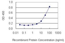Monoclonal Anti-ABCG2 antibody produced in mouse clone 1G1, purified immunoglobulin, buffered aqueous solution