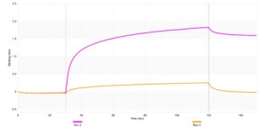 Anti-GABARAP Antibody, clone 2L12 ZooMAb® Rabbit Monoclonal recombinant, expressed in HEK 293 cells