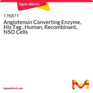 Angiotensin Converting Enzyme, His Tag , Human, Recombinant, NSO Cells