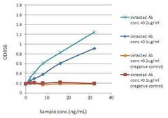 Monoclonal Anti-GFP antibody produced in mouse clone GT7312, affinity isolated antibody