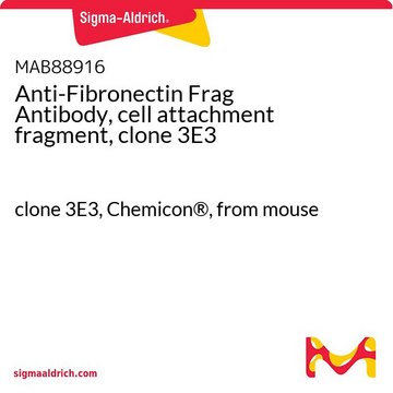 Anti-Fibronectin Frag Antibody, cell attachment fragment, clone 3E3 clone 3E3, Chemicon&#174;, from mouse