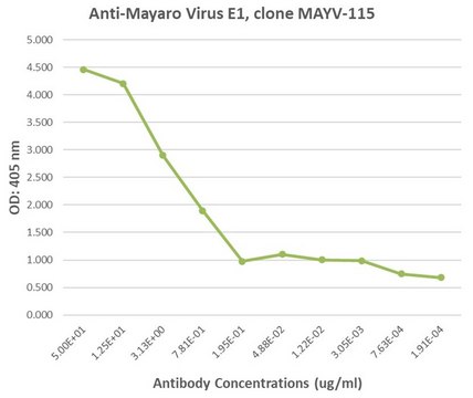 Anti-Mayaro Virus E1 Antibody, clone MAY-115