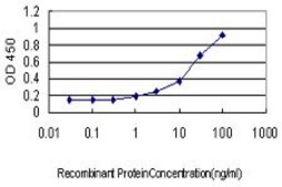 Monoclonal Anti-LMO3, (C-terminal) antibody produced in mouse clone 1A8, purified immunoglobulin, buffered aqueous solution