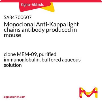 Monoclonal Anti-Kappa light chains antibody produced in mouse clone MEM-09, purified immunoglobulin, buffered aqueous solution