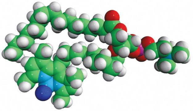 TopFluor&#174; PC 1-palmitoyl-2-(dipyrrometheneboron difluoride)undecanoyl-sn-glycero-3-phosphocholine, chloroform