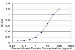 Monoclonal Anti-NEUROD6 antibody produced in mouse clone 3B3, purified immunoglobulin, buffered aqueous solution