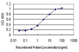 Monoclonal Anti-DYDC1 antibody produced in mouse clone 1B11, purified immunoglobulin, buffered aqueous solution