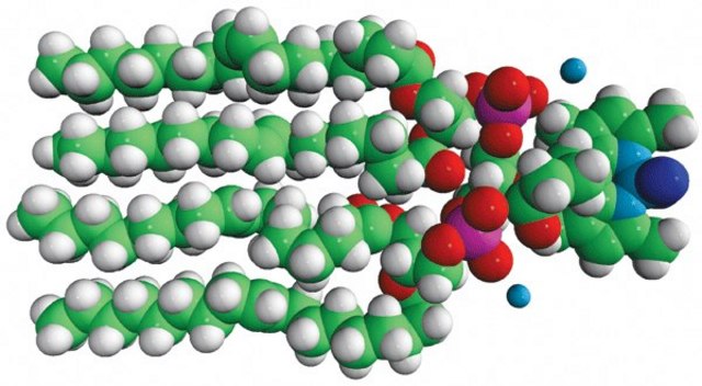 TopFluor&#174; Cardiolipin 1,1&#8242;,2,2&#8242;-tetraoleoyl cardiolipin[4-(dipyrrometheneboron difluoride)butanoyl] (ammonium salt) TopFluor&#174; Cardiolipin, chloroform