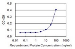 Monoclonal Anti-UBE2L6 antibody produced in mouse clone 2F12-1F4, purified immunoglobulin, buffered aqueous solution