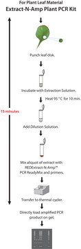 REDExtract-N-Amp&#8482;植物PCR试剂盒 sufficient for 10&#160;extractions, sufficient for 10&#160;amplifications