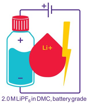 六氟磷酸锂 溶液 in dimethyl carbonate, 2.0 M LiPF6 DMC, battery grade