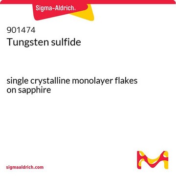 Tungsten sulfide single crystalline monolayer flakes on sapphire