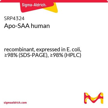 Apo-SAA human recombinant, expressed in E. coli, &#8805;98% (SDS-PAGE), &#8805;98% (HPLC)