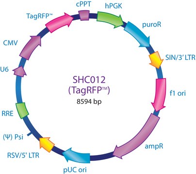 MISSION&#174; pLKO.1-puro-CMV-TagRFP&#8482; Positive Control Plasmid DNA Contains a gene encoding TagRFP