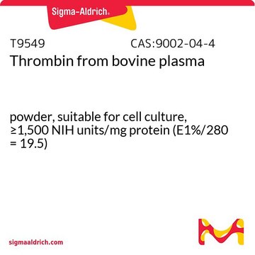 Thrombin from bovine plasma powder, suitable for cell culture, &#8805;1,500&#160;NIH units/mg protein (E1%/280 = 19.5)